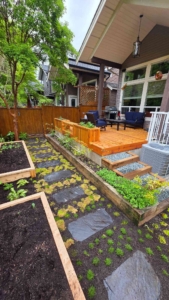 Deck for the Right Family